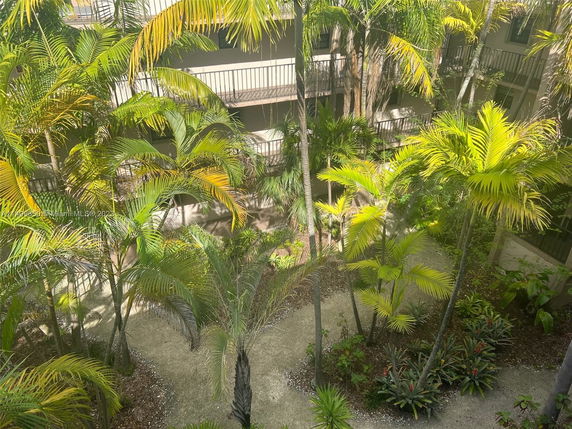 View of a garden area with tall palm trees around a building.
