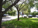 miamire/aeb4c704eda1e5f5bdea532741157d67.jpg?width=131&height=105&format3=webp