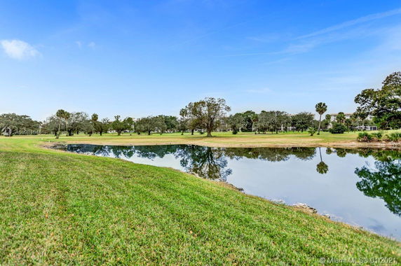 View of a grassy area with trees and a small body of water under a clear blue sky.