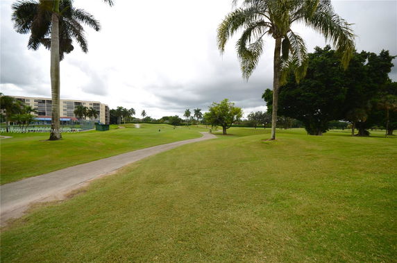 Open grassy area with palm trees and a building in the distance.