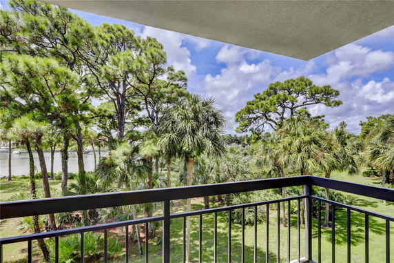 View from a balcony overlooking a lush landscape with tall trees and greenery.