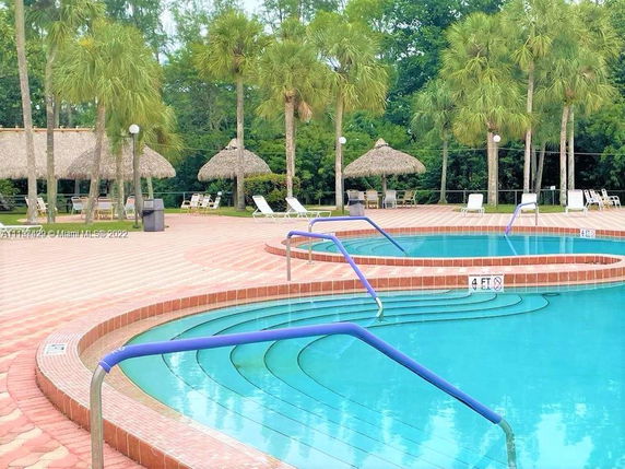 Outdoor swimming pool with curved edges and surrounding palm trees.