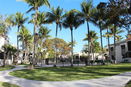 miamire/b23b3475f749be5d55cbb2c14b0f847a.jpg?width=131&height=105&format3=webp