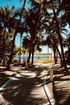 miamire/b29e280e6e73e666ec6e4dbc40c556cf.jpg?width=131&height=105&format3=webp