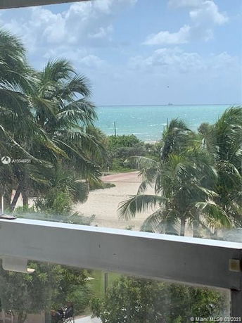 View of the ocean and palm trees from a high vantage point.