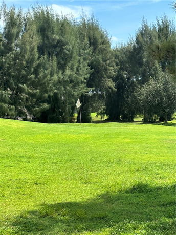 Golf course with a flag on the green surrounded by trees.