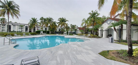 Outdoor swimming pool area with surrounding palm trees and nearby residential buildings.