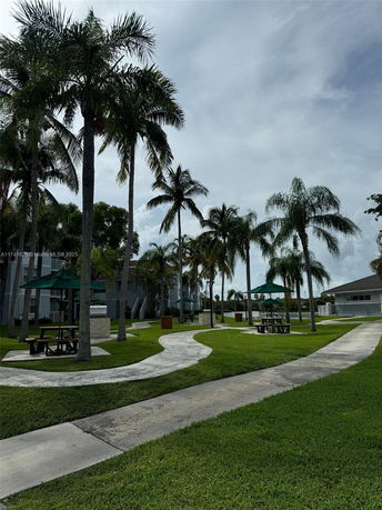 Outdoor area with palm trees and pathways.