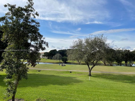 View of grassy field with trees and a distant water body.
