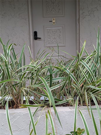 Front view of a building entrance with decorative door and plants.