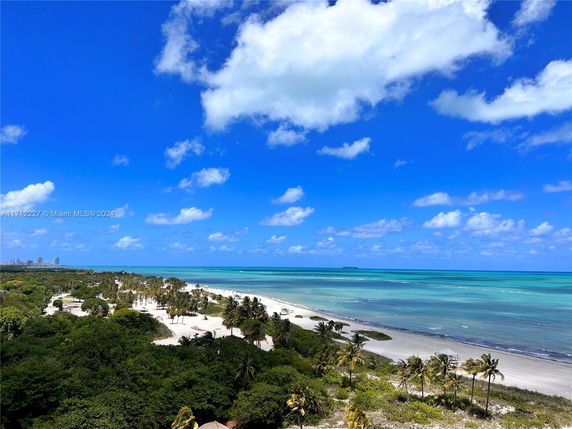 Panoramic view of a beach with palm trees and blue ocean water under a clear blue sky.