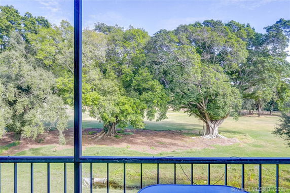 View from a window showing a lush green landscape with large trees.