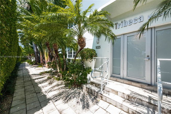 Front view of a building entrance with steps and glass doors, surrounded by palm trees.