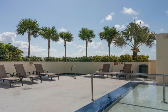 Rooftop area with a small pool and lounge chairs, surrounded by palm trees.