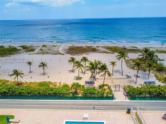 Panoramic view of a beach with palm trees and ocean.