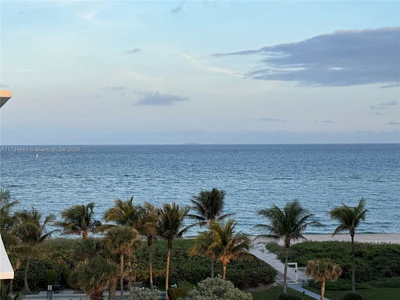 Panoramic view of the ocean with palm trees and sandy beach in the foreground.