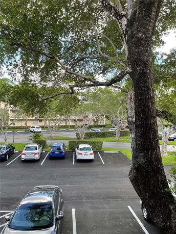Outdoor view of a parking area with several cars parked under large trees.