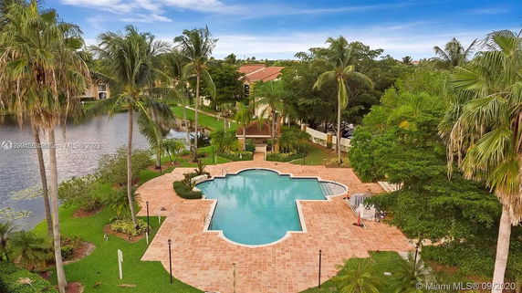 Outdoor swimming pool surrounded by tropical trees and a paved area.