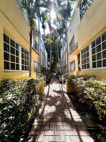 View of narrow pathway between two buildings with large windows and palm trees above.