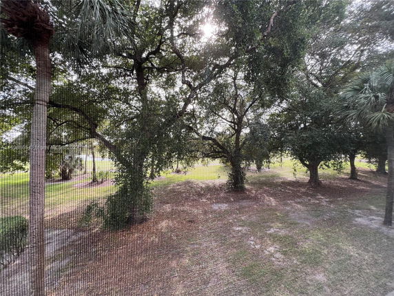 View of trees and grassy areas seen from a window with a screen.