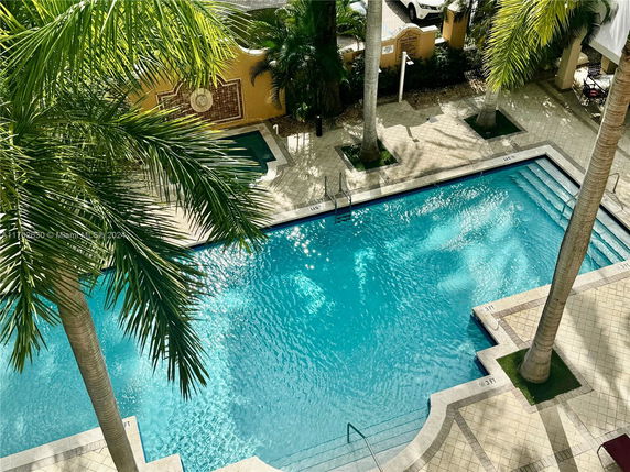 View of a swimming pool surrounded by palm trees.