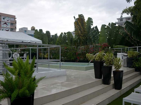Outdoor area with a swimming pool surrounded by planters and vegetation.