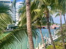 miamire/b985cddade6bfdc9172c937655ba9393.jpg?width=131&height=105&format3=webp