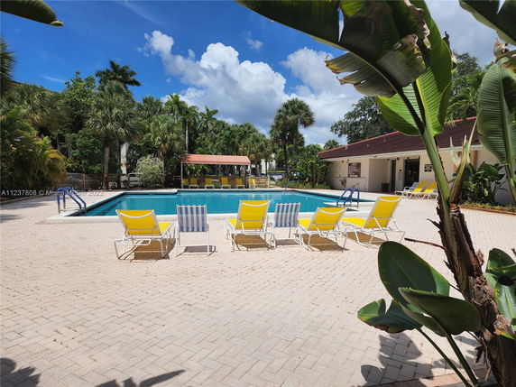 Outdoor area with a swimming pool surrounded by loungers and tropical plants.