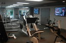 miamire/bab907c2086cb64506a5d60180d87af6.jpg?width=131&height=105&format3=webp