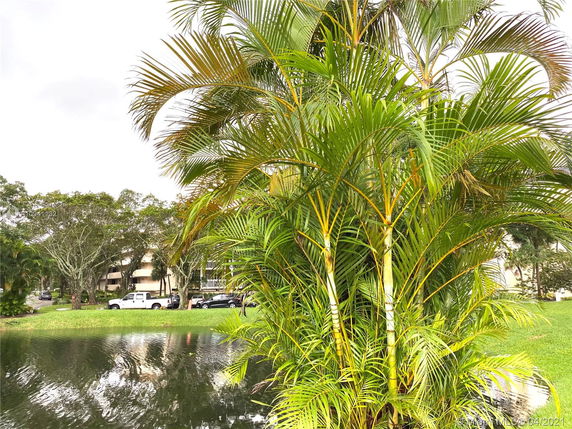 View with palm trees and a pond, parking area with cars, and buildings in the background.