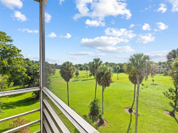 Panoramic view of a green landscape with palm trees from a balcony.