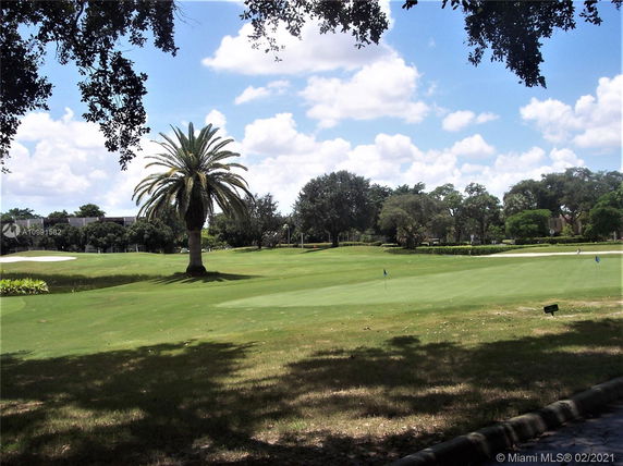 Scenic view of a golf course with lush green grass and a prominent palm tree.