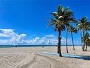 miamire/bd569f65eade0c7ae34f34391d8b6fa4.jpg?width=131&height=105&format3=webp