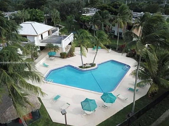 Aerial view of an outdoor swimming pool surrounded by palm trees and lounge chairs.