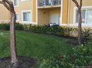 miamire/bff29540ab0bf340c16fcfd6c8e6d34f.jpg?width=131&height=105&format3=webp