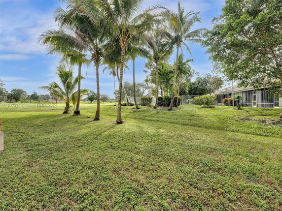 View of palm trees and grassy area near a fenced building.
