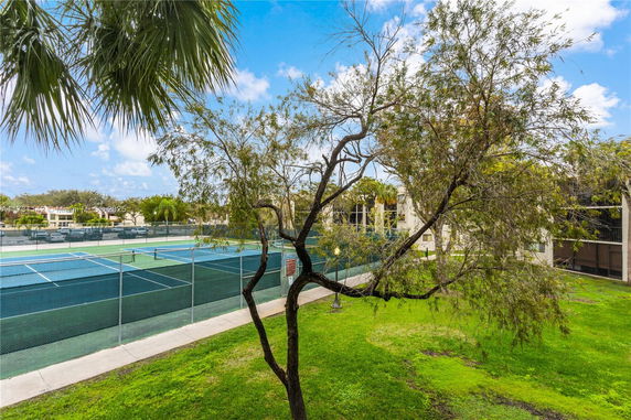 View of outdoor tennis courts surrounded by trees and greenery.