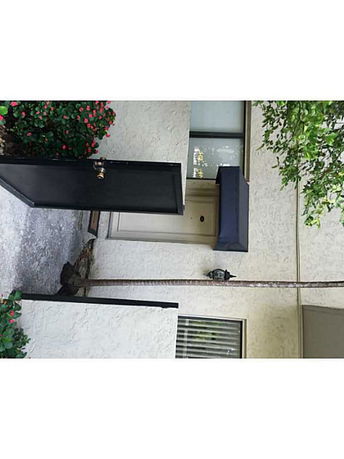 Front view of an entrance with a black gate and a small awning above the door.