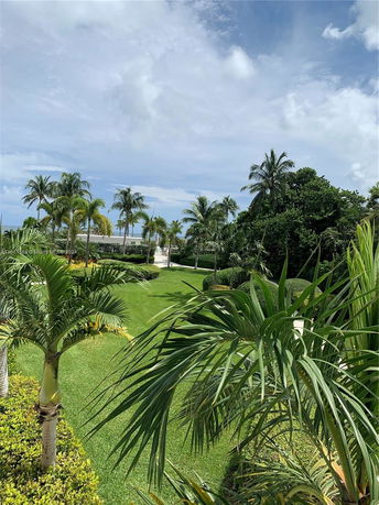 View of a landscaped garden with palm trees and greenery.