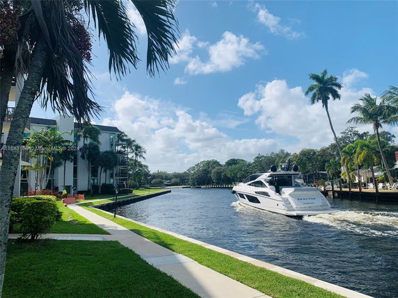 View of a river with trees and buildings on a sunny day.
