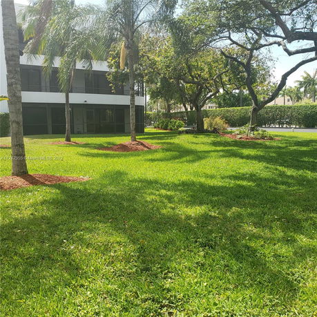 View of trees and lawn area with a building in the background.