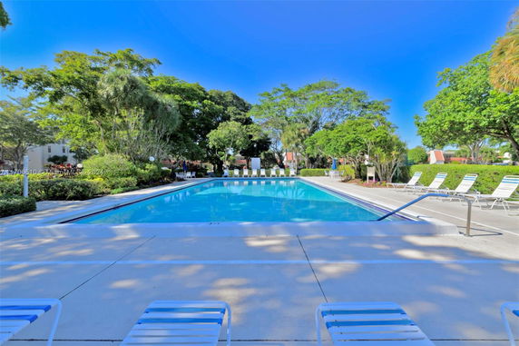 Outdoor swimming pool area with lounge chairs and surrounding greenery.