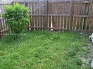 miamire/c62f55ec5bced905a85ed4128dc95762.jpg?width=131&height=105&format3=webp