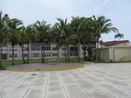 miamire/c6ee57d80c1c42e295c60f79cafa057b.jpg?width=131&height=105&format3=webp