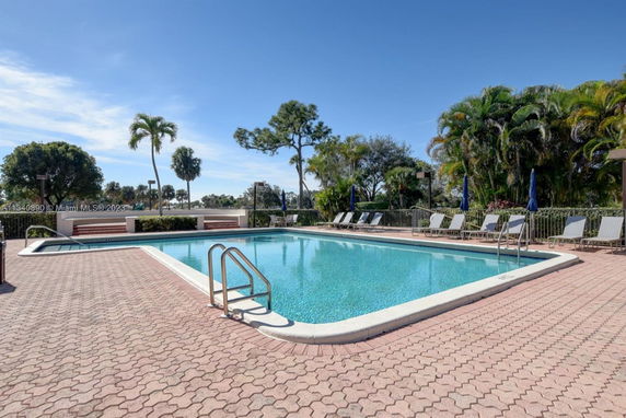 Outdoor swimming pool surrounded by lounge chairs and tropical trees.