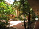 miamire/c7fcfe3b97cb373246a552c3835a8f75.jpg?width=131&height=105&format3=webp