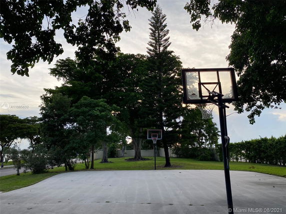 Basketball court in an outdoor setting surrounded by trees.