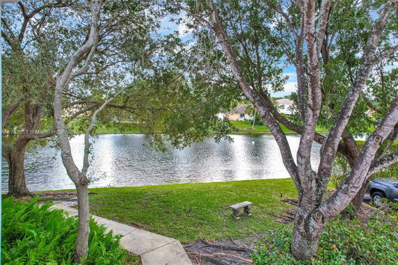View of a lake with trees and a bench in the foreground