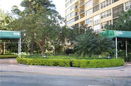 miamire/cab9251aeccdd0dde873472e824f4121.jpg?width=131&height=105&format3=webp
