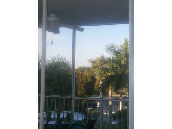 View from a building showing palm trees and surrounding areas.